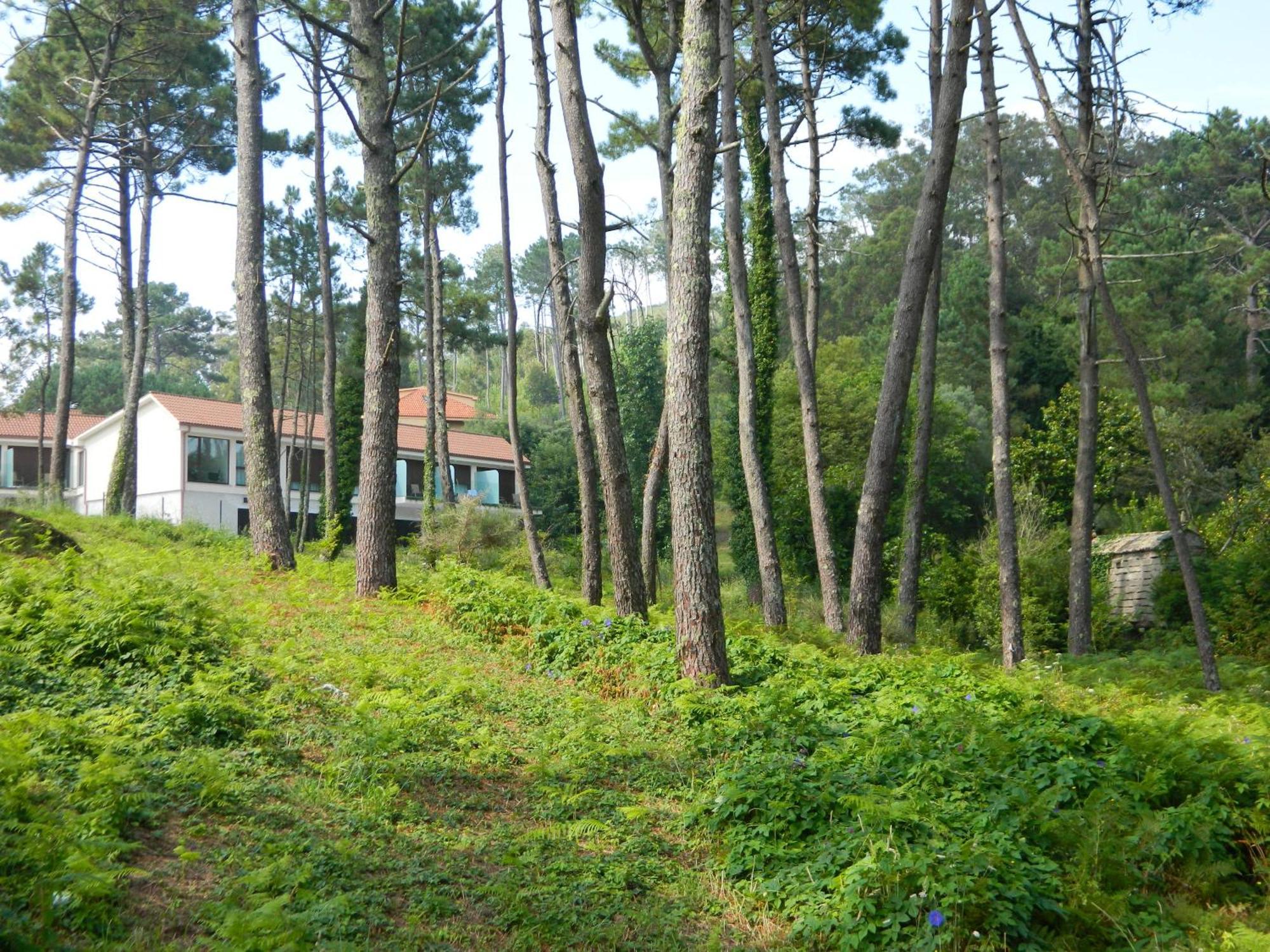 Hotel Alen Do Mar Финистере Екстериор снимка